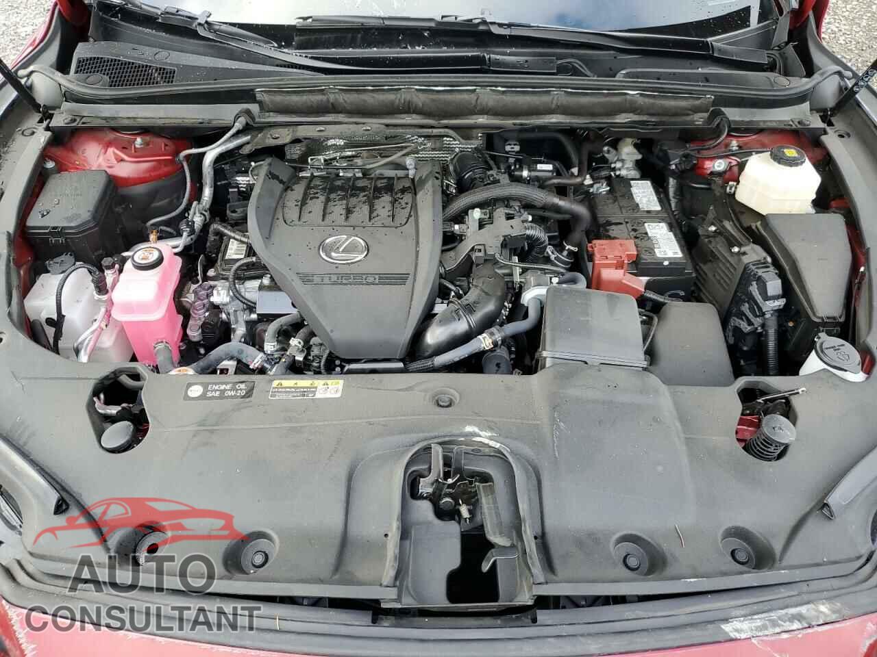 LEXUS RX350 2024 - 2T2BAMCA6RC046982