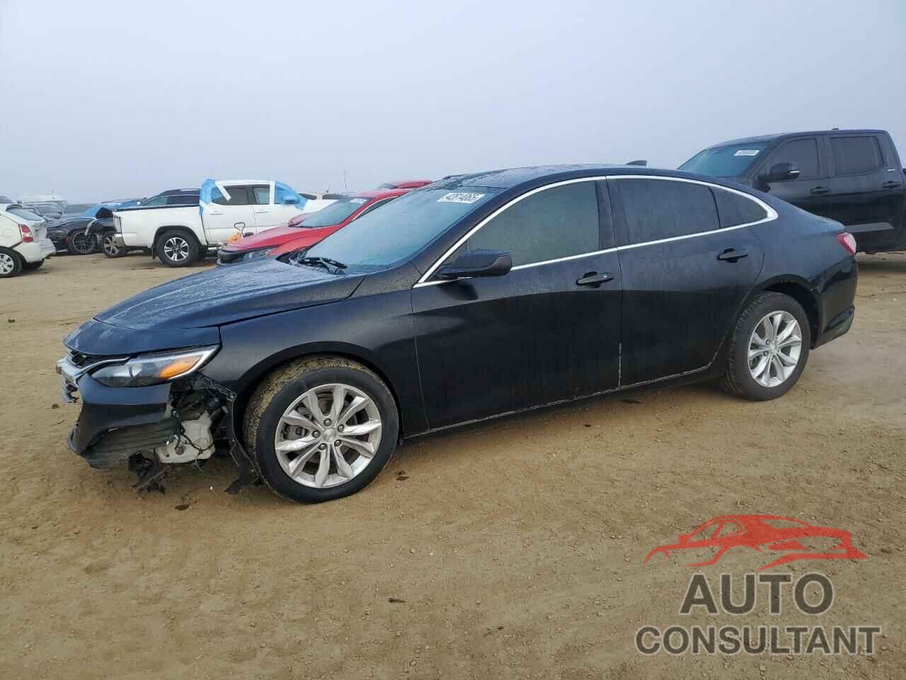 CHEVROLET MALIBU 2019 - 1G1ZD5ST3KF171463