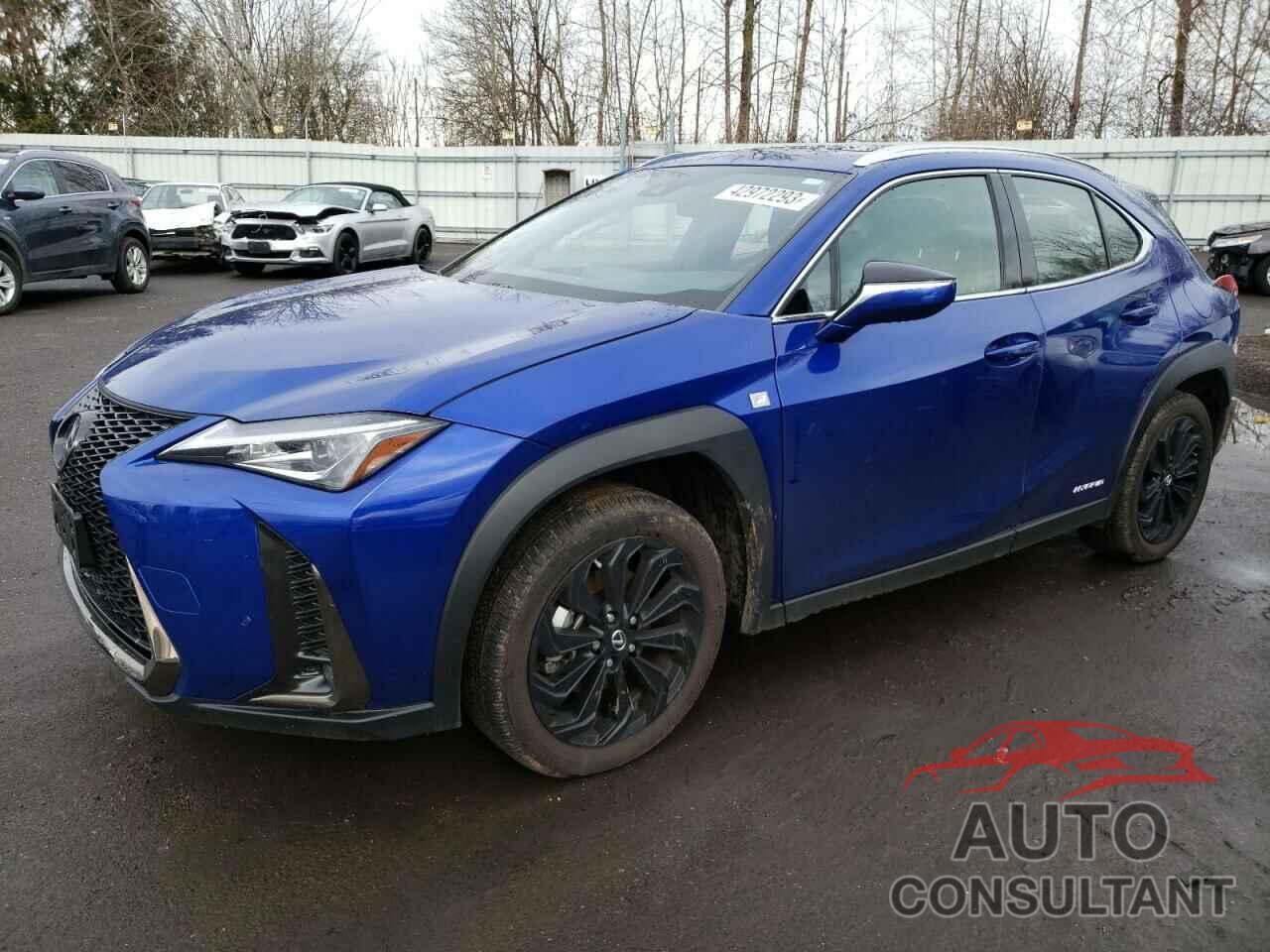 LEXUS UX 250H 2021 - JTHR9JBH5M2044221