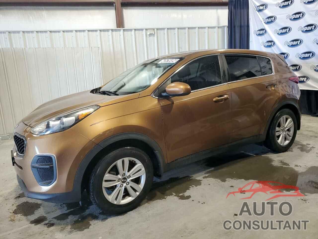 KIA SPORTAGE 2017 - KNDPM3AC1H7116176