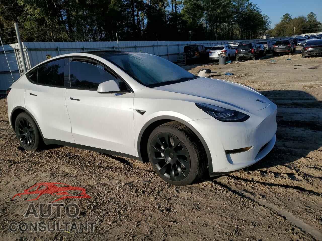 TESLA MODEL Y 2020 - 5YJYGDEE2LF034005