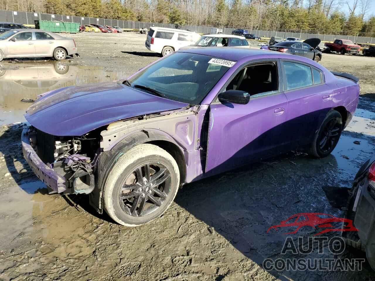 DODGE CHARGER 2019 - 2C3CDXJG1KH600843