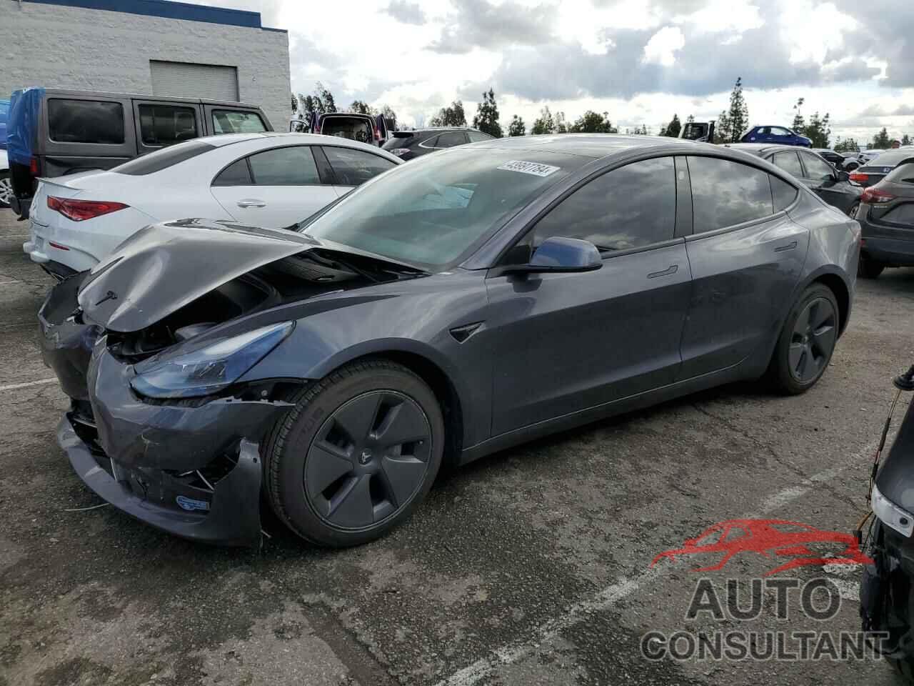 TESLA MODEL 3 2021 - 5YJ3E1EA3MF982443