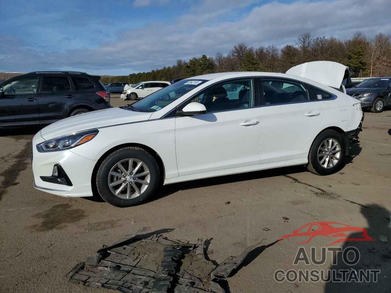 HYUNDAI SONATA 2019 - 5NPE24AF5KH777046