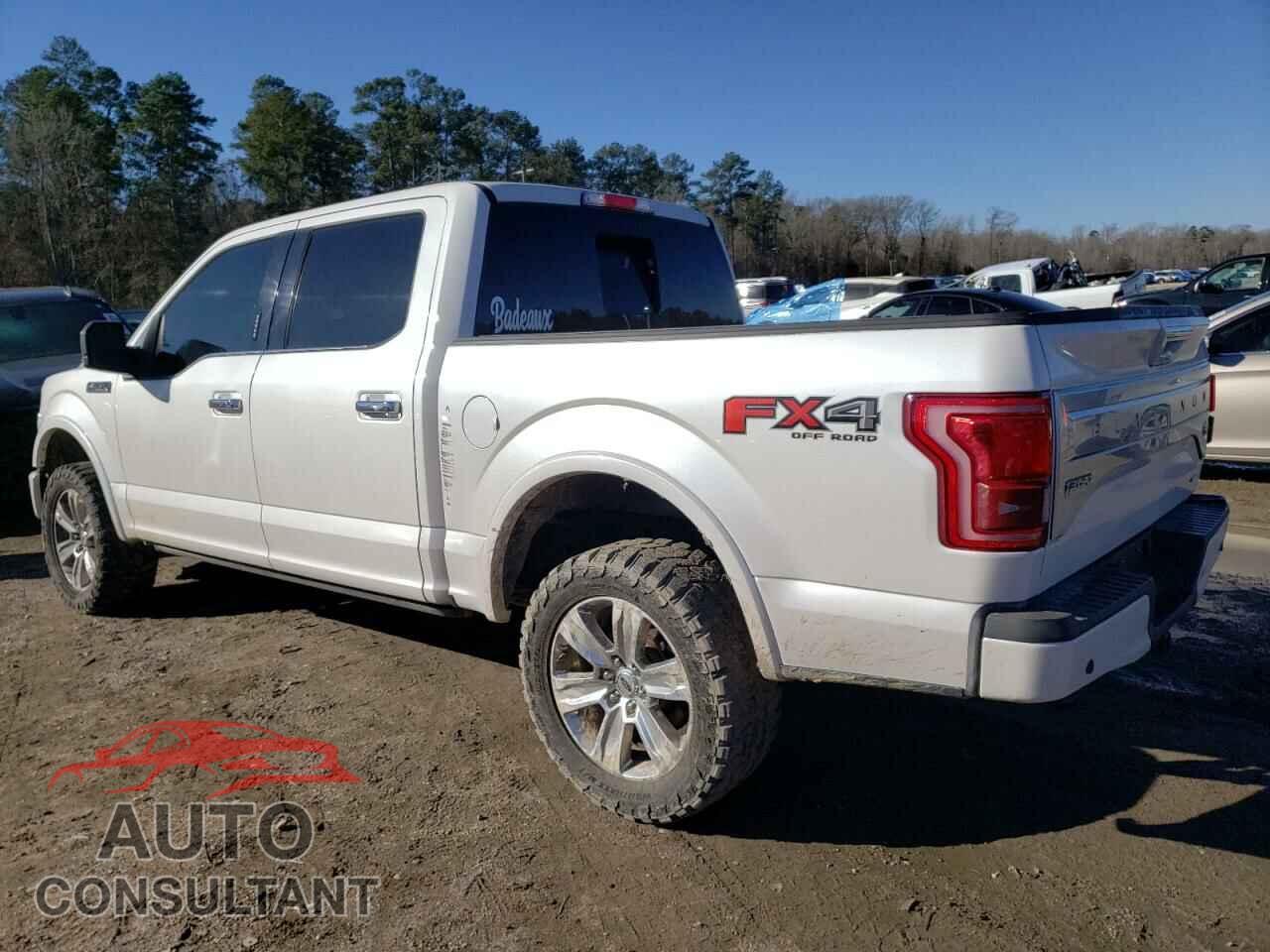 FORD F-150 2015 - 1FTEW1EFXFFA49235