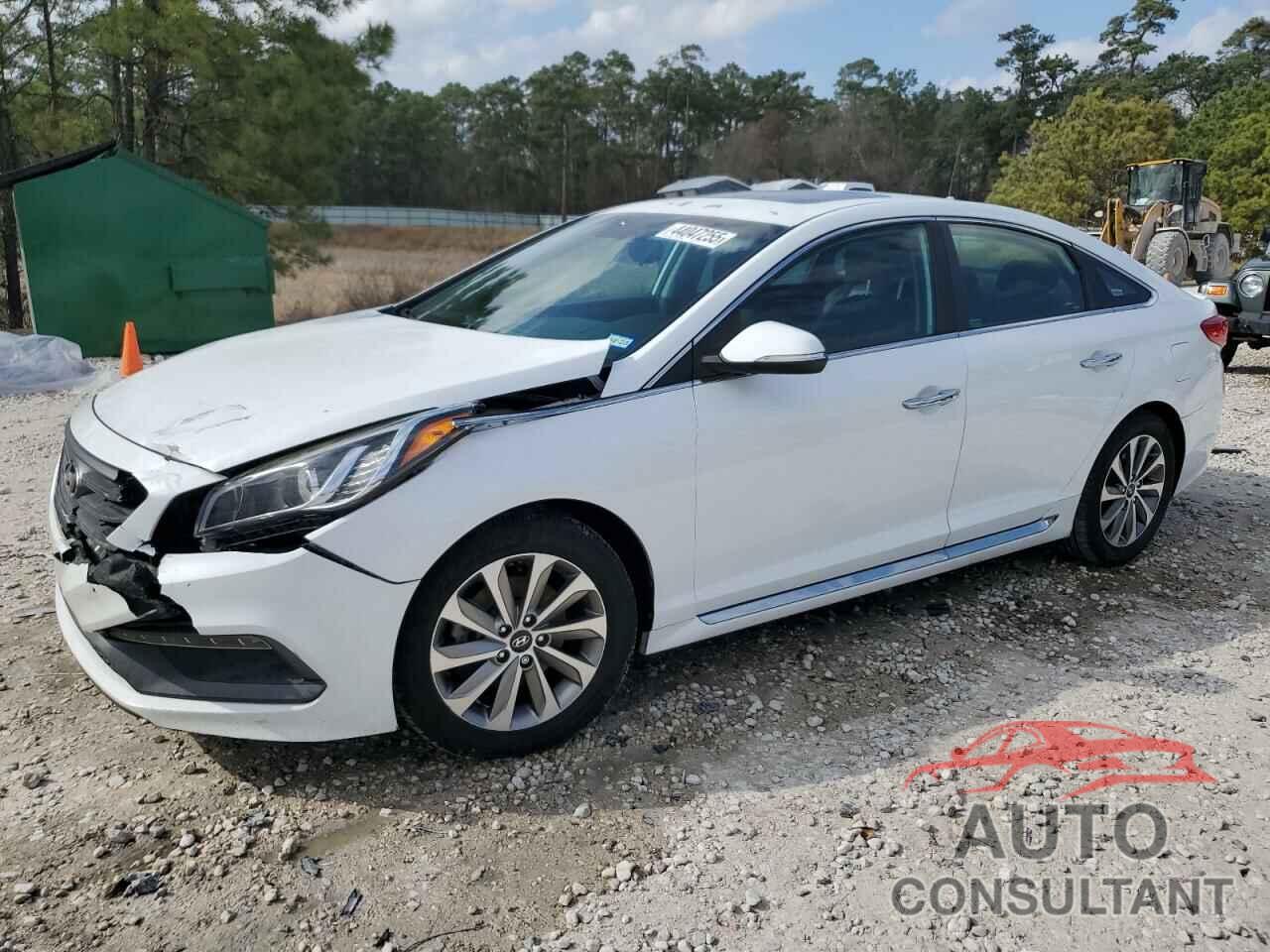 HYUNDAI SONATA 2016 - 5NPE34AF7GH366140