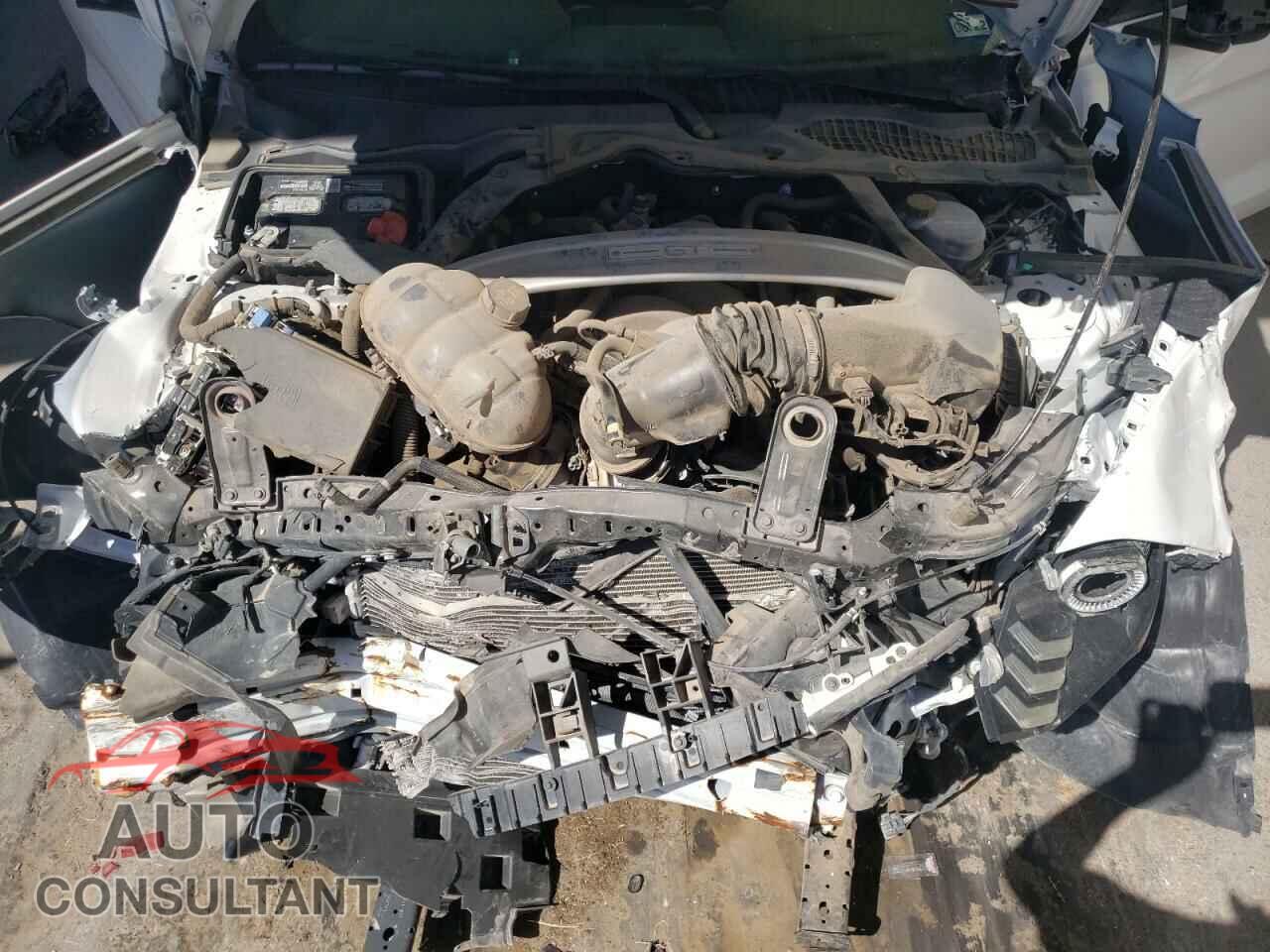 FORD MUSTANG 2019 - 1FA6P8CF1K5194568