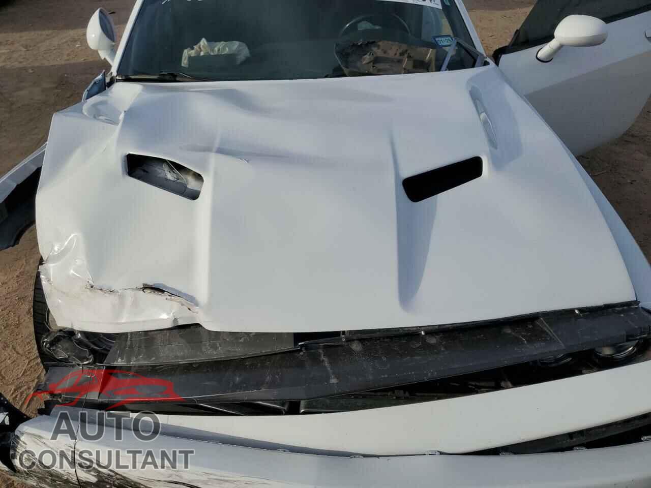 DODGE CHALLENGER 2019 - 2C3CDZAG2KH723658