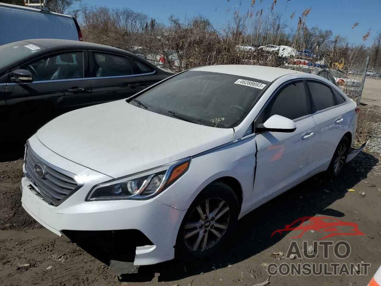 HYUNDAI SONATA 2017 - 5NPE24AF4HH569233