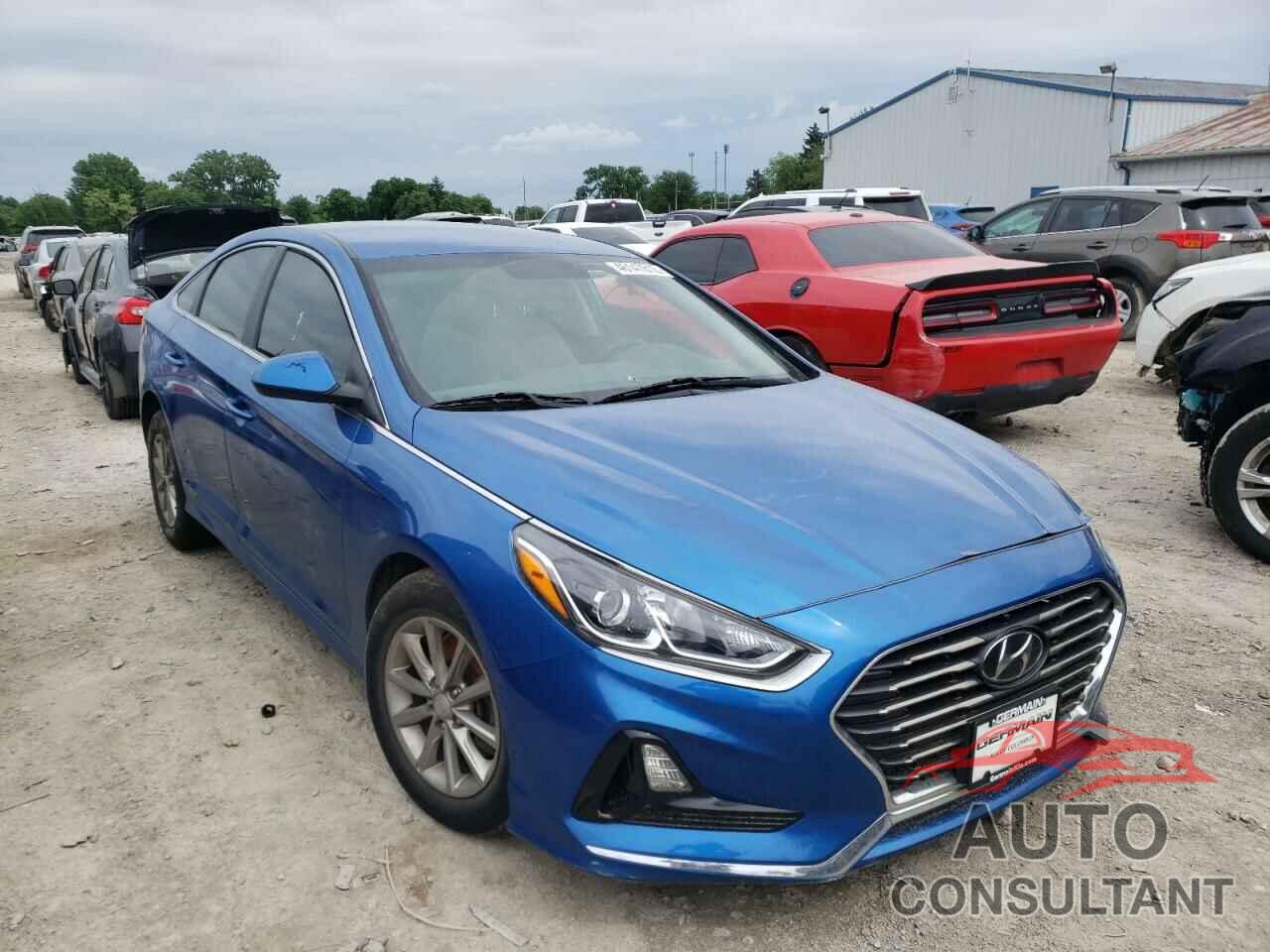 HYUNDAI SONATA 2019 - 5NPE24AF6KH772650