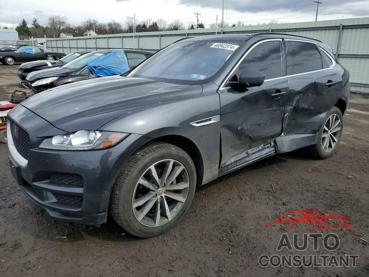 JAGUAR F-PACE 2019 - SADCK2FX5KA612056