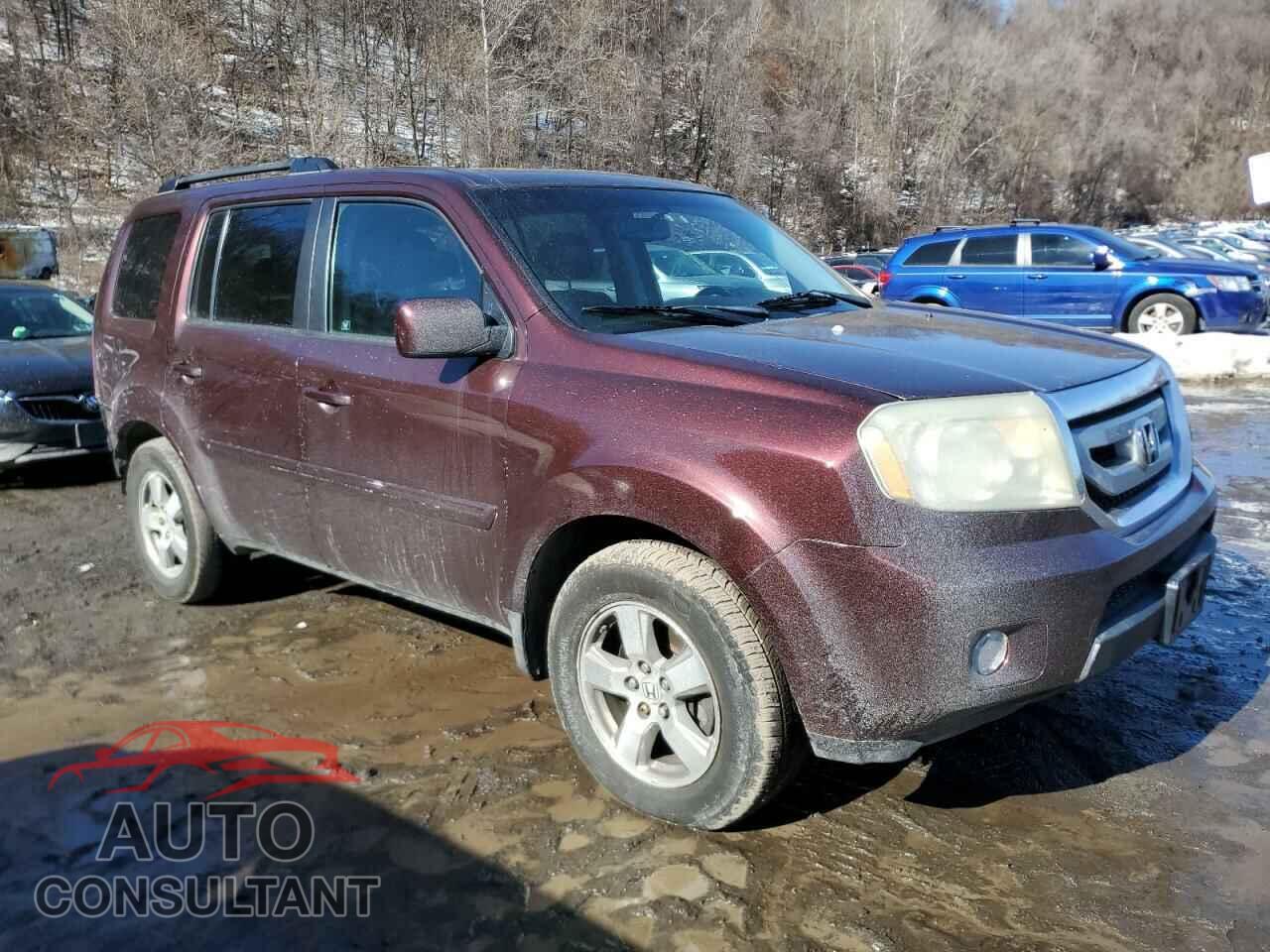 HONDA PILOT 2009 - 5FNYF48639B017424