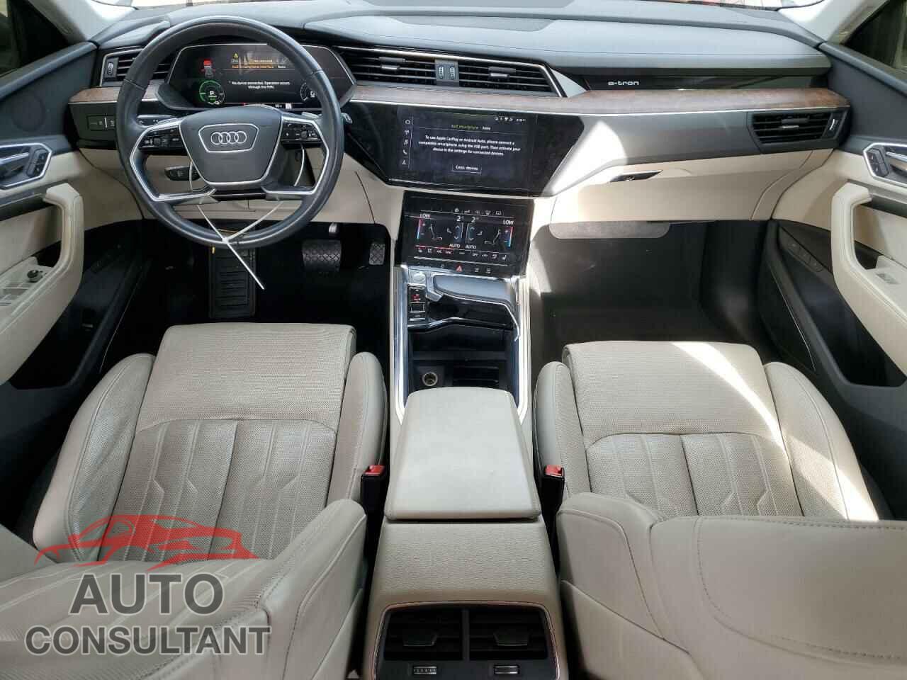 AUDI E-TRON 2019 - WA1VABGE6KB013000
