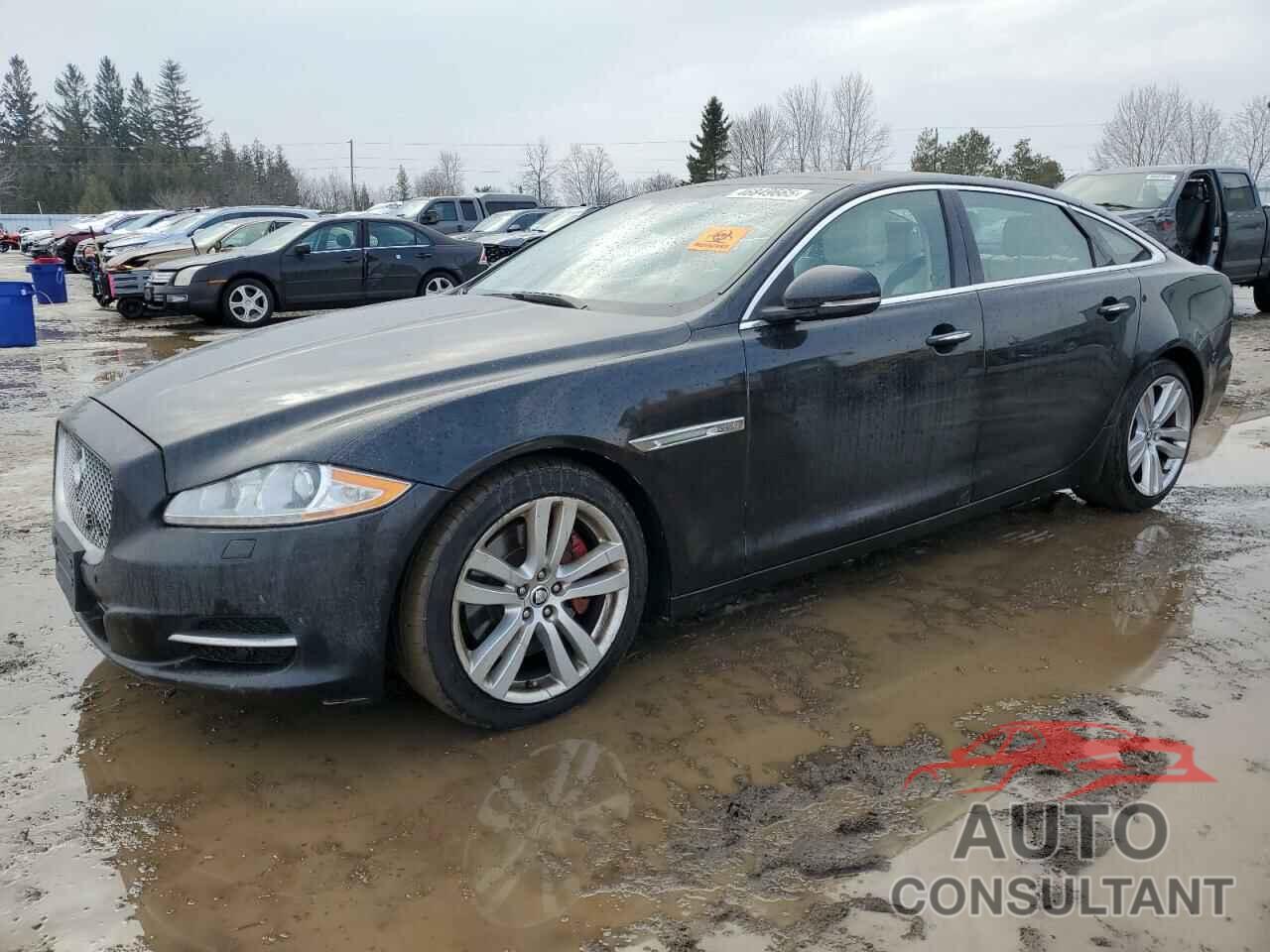 JAGUAR XJ 2013 - SAJXJ2GD9D8V42237