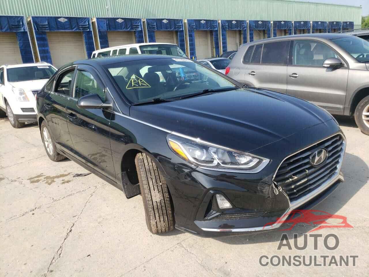 HYUNDAI SONATA 2019 - 5NPE24AF2KH814957
