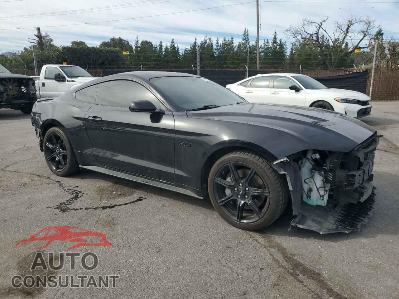 FORD MUSTANG 2019 - 1FA6P8CF1K5118865