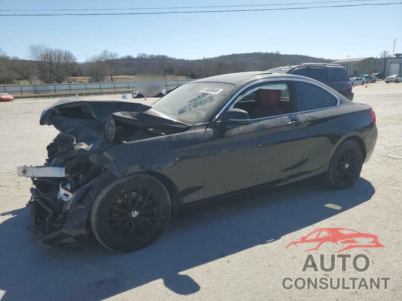 BMW 2 SERIES 2016 - WBA1G9C51GV598945
