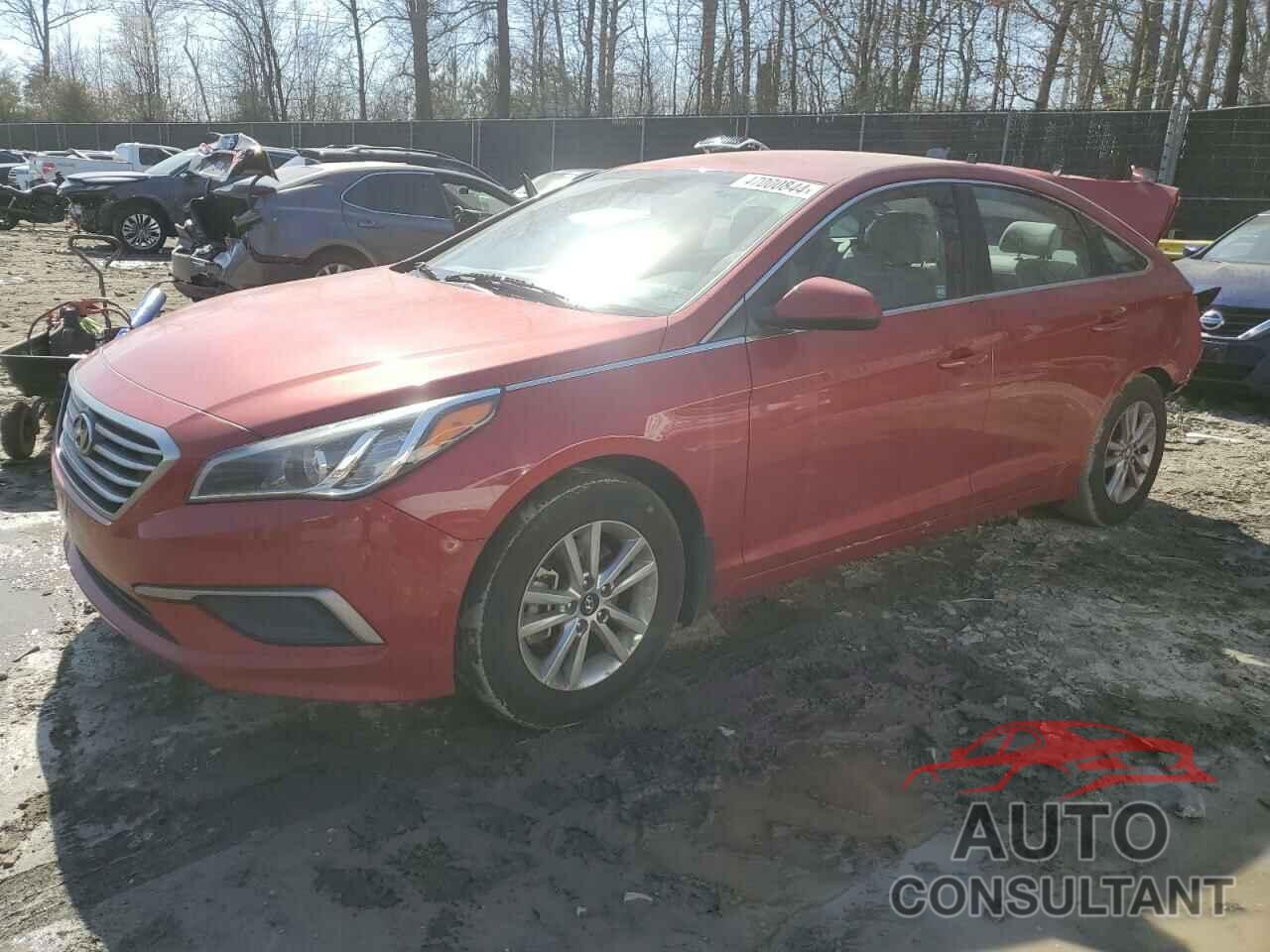 HYUNDAI SONATA 2017 - 5NPE24AF7HH553902