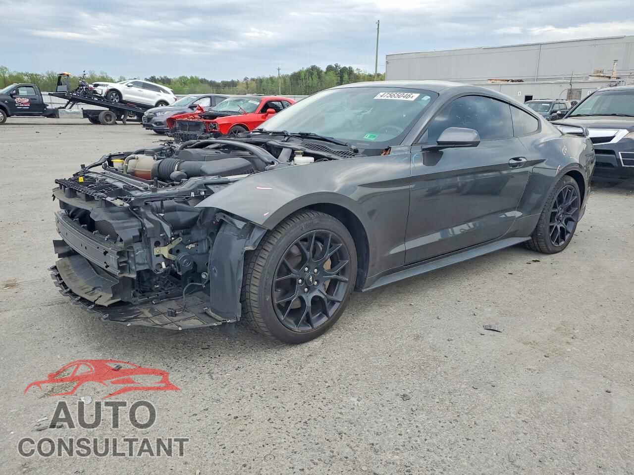 FORD MUSTANG 2019 - 1FA6P8TH4K5202891