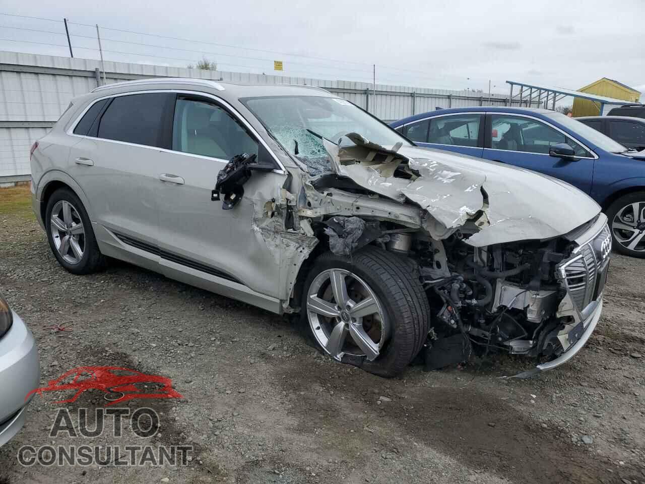 AUDI E-TRON 2019 - WA1LABGE8KB011840
