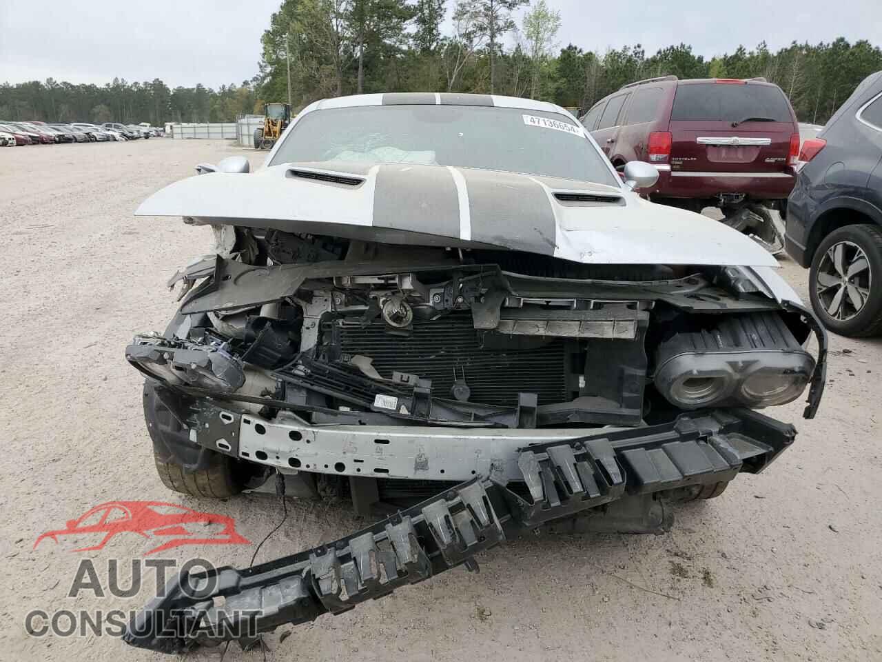 DODGE CHALLENGER 2019 - 2C3CDZAG3KH731543
