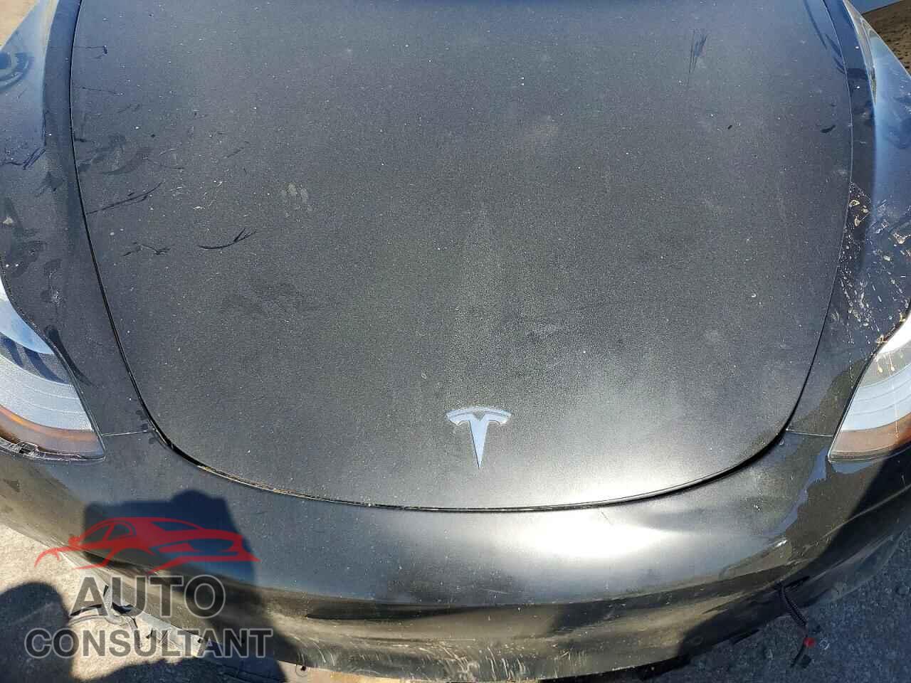 TESLA MODEL 3 2019 - 5YJ3E1EA7KF397796