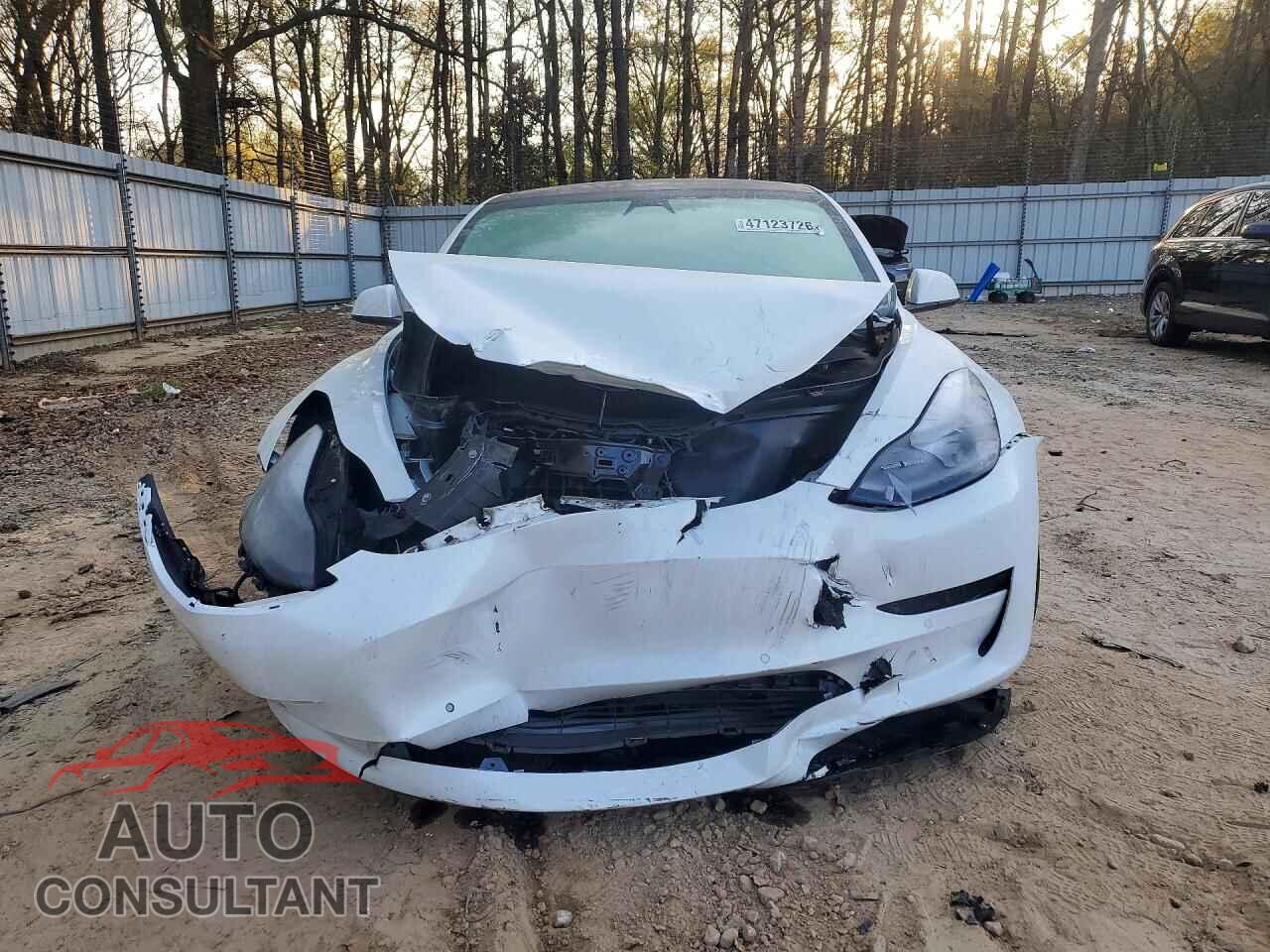 TESLA MODEL 3 2021 - 5YJ3E1EA6MF096620