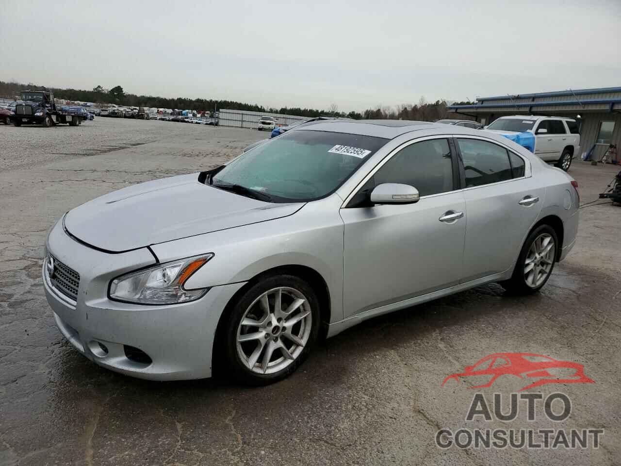 NISSAN MAXIMA 2010 - 1N4AA5AP8AC828717