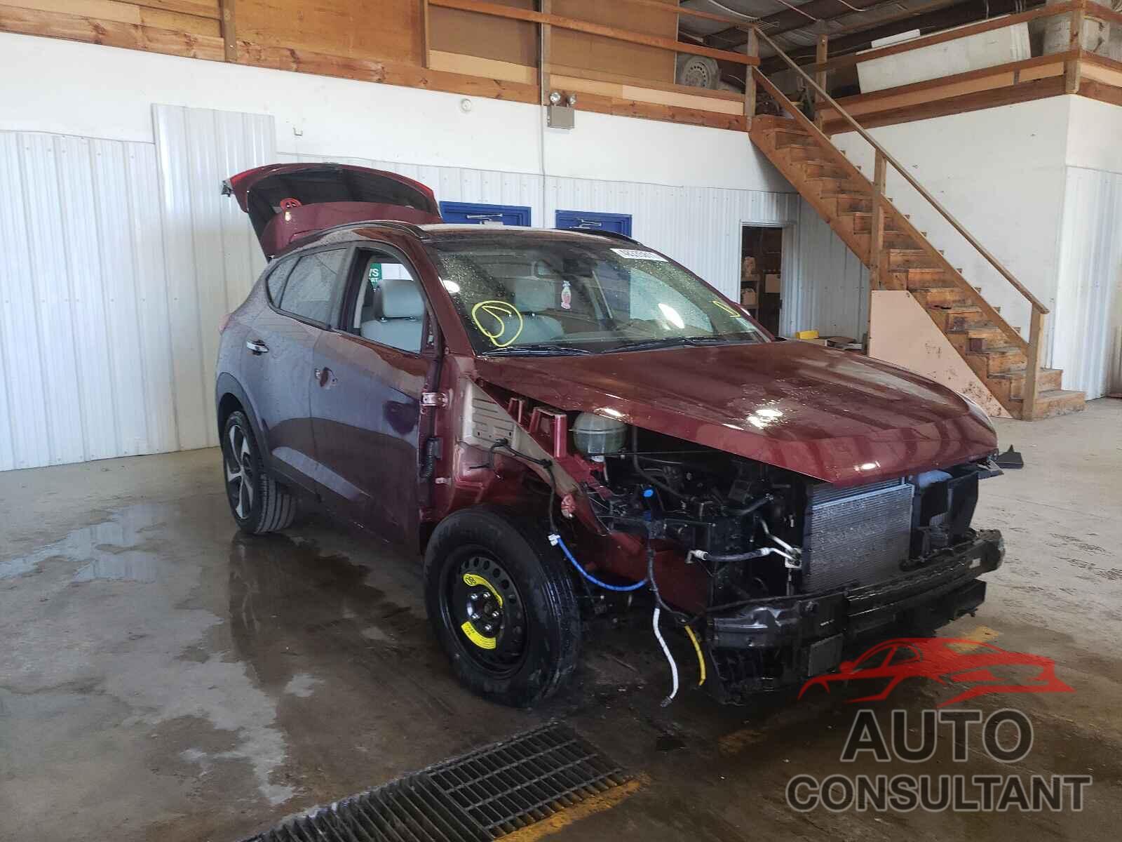 HYUNDAI TUCSON 2017 - KM8J33A22HU372176