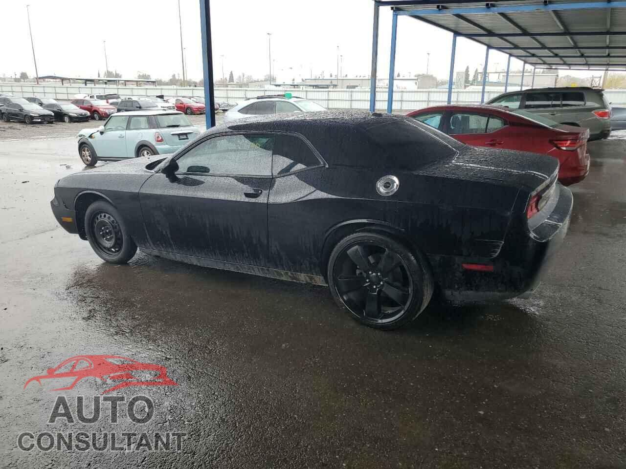 DODGE CHALLENGER 2014 - 2C3CDYAG6EH274127