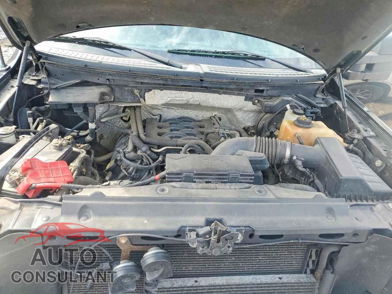 FORD F150 2011 - 1FTFX1EF4BFA71307