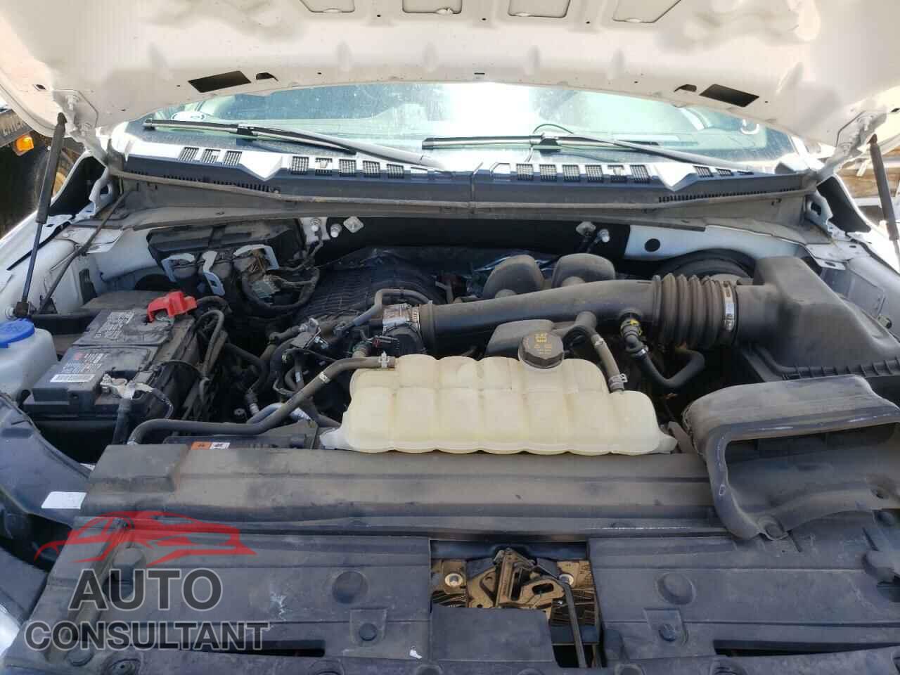 FORD F150 2019 - 1FTMF1CB3KKD33657