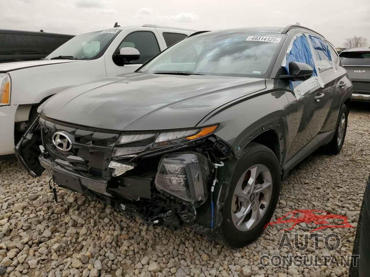 HYUNDAI TUCSON 2024 - 5NMJB3DE0RH351199