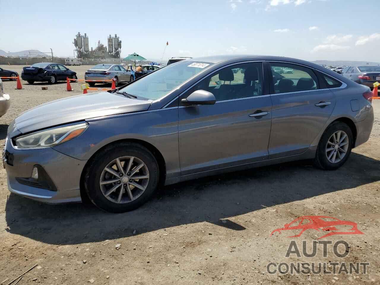 HYUNDAI SONATA 2019 - 5NPE24AF1KH730807