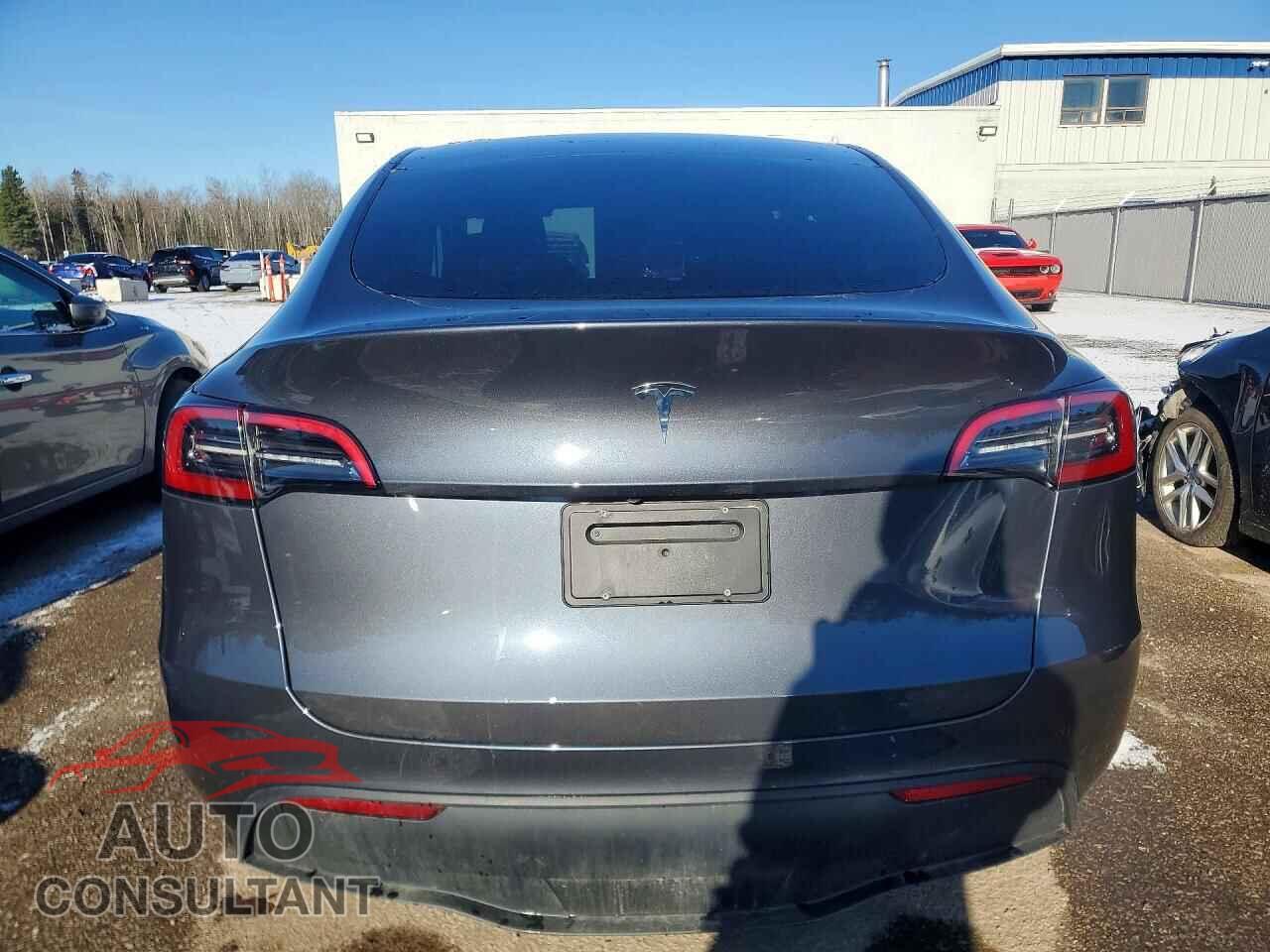 TESLA MODEL Y 2023 - LRWYGDFD5PC071930