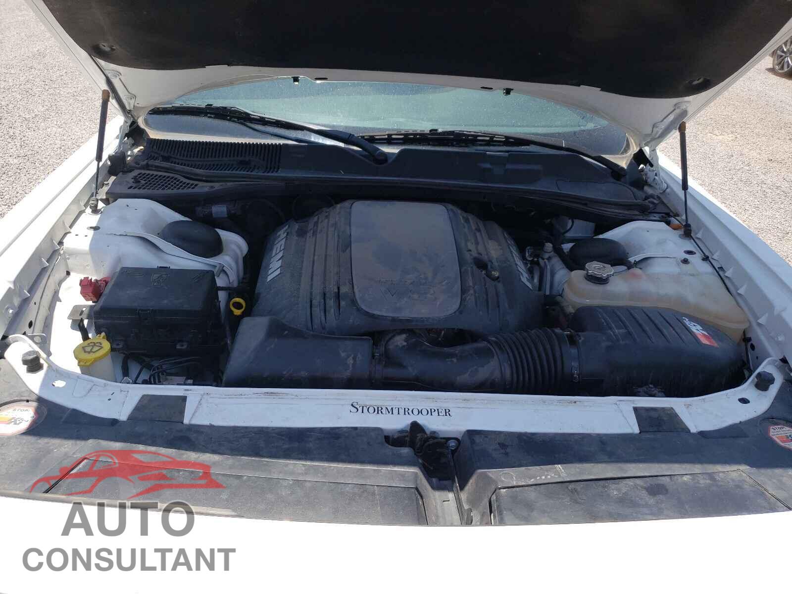 DODGE CHALLENGER 2017 - 2C3CDZBT1HH613897