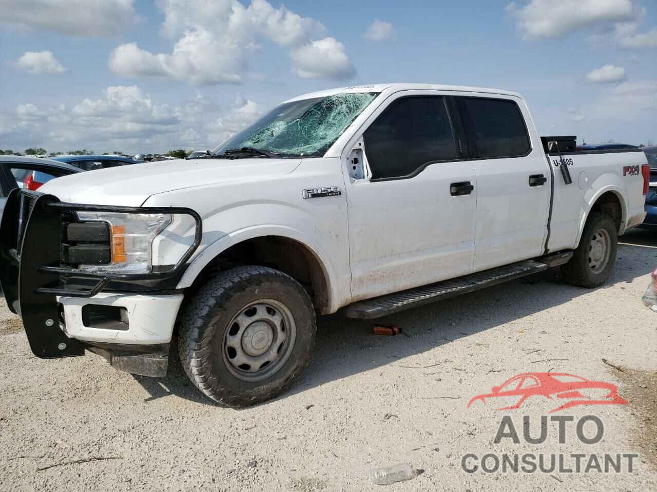 FORD F-150 2019 - 1FTFW1E44KKE76964