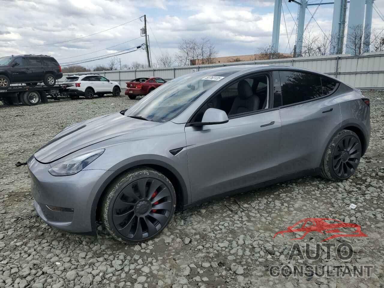 TESLA MODEL Y 2025 - 7SAYGDEF1SF304352