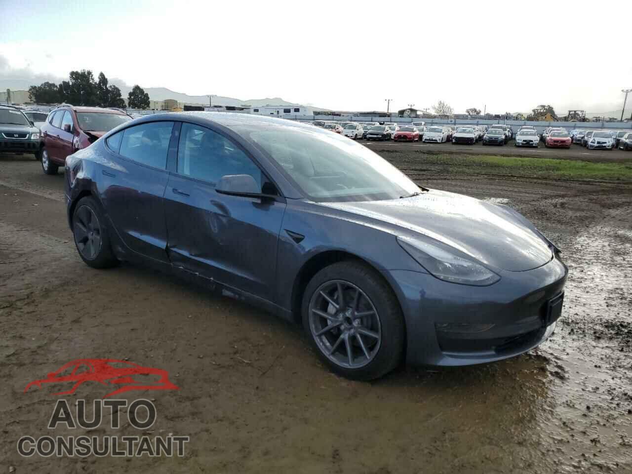 TESLA MODEL 3 2023 - 5YJ3E1EA3PF697049