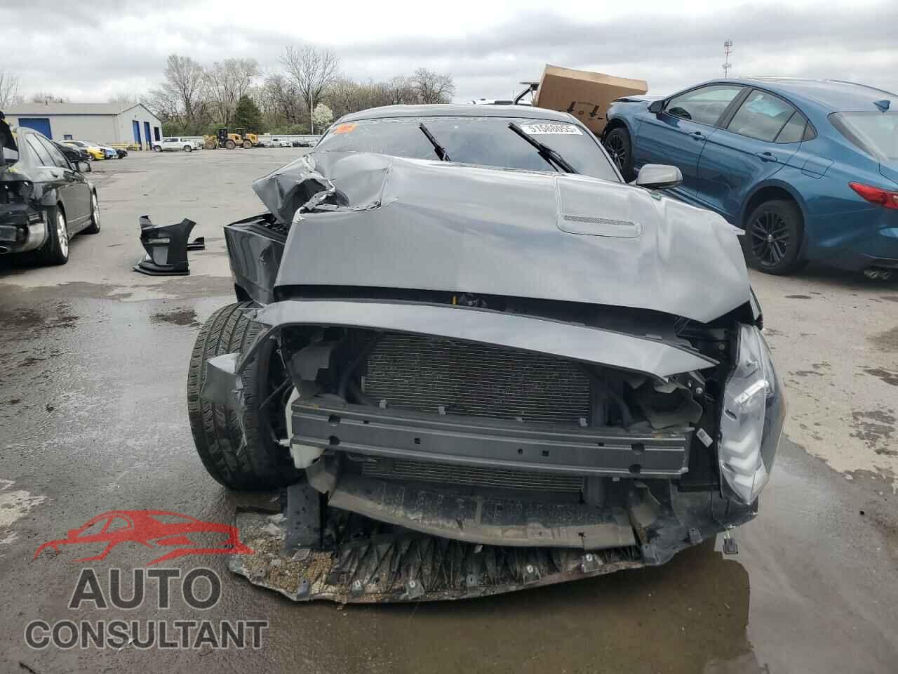 FORD MUSTANG 2019 - 1FA6P8CF6K5113645