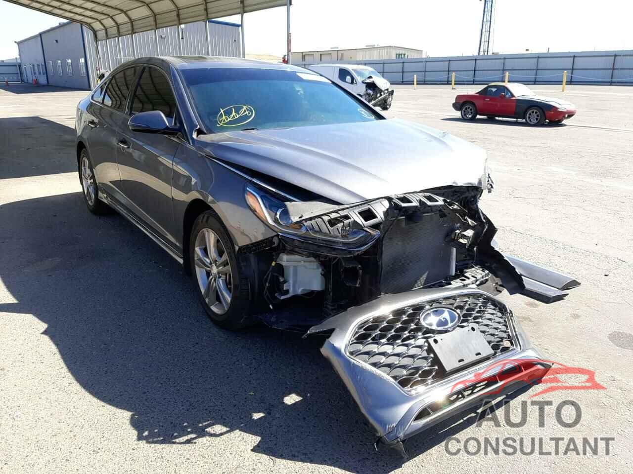 HYUNDAI SONATA 2019 - 5NPE34AF3KH818433