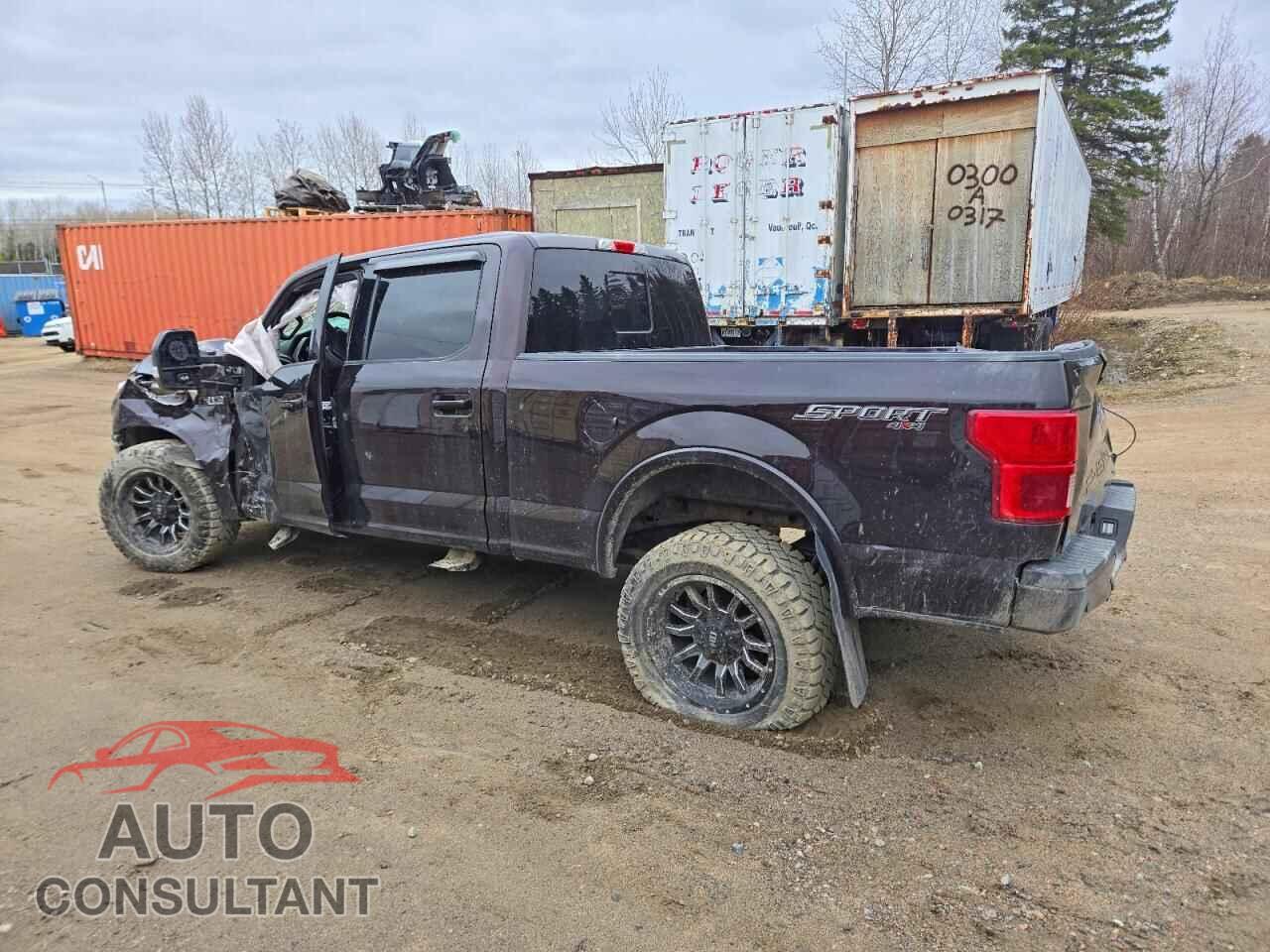 FORD F150 2019 - 1FTFW1E41KFA46432