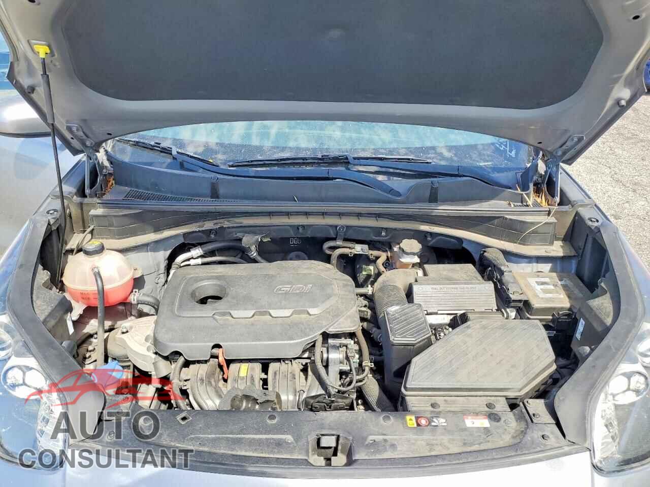 KIA SPORTAGE 2022 - KNDPM3AC2N7973473