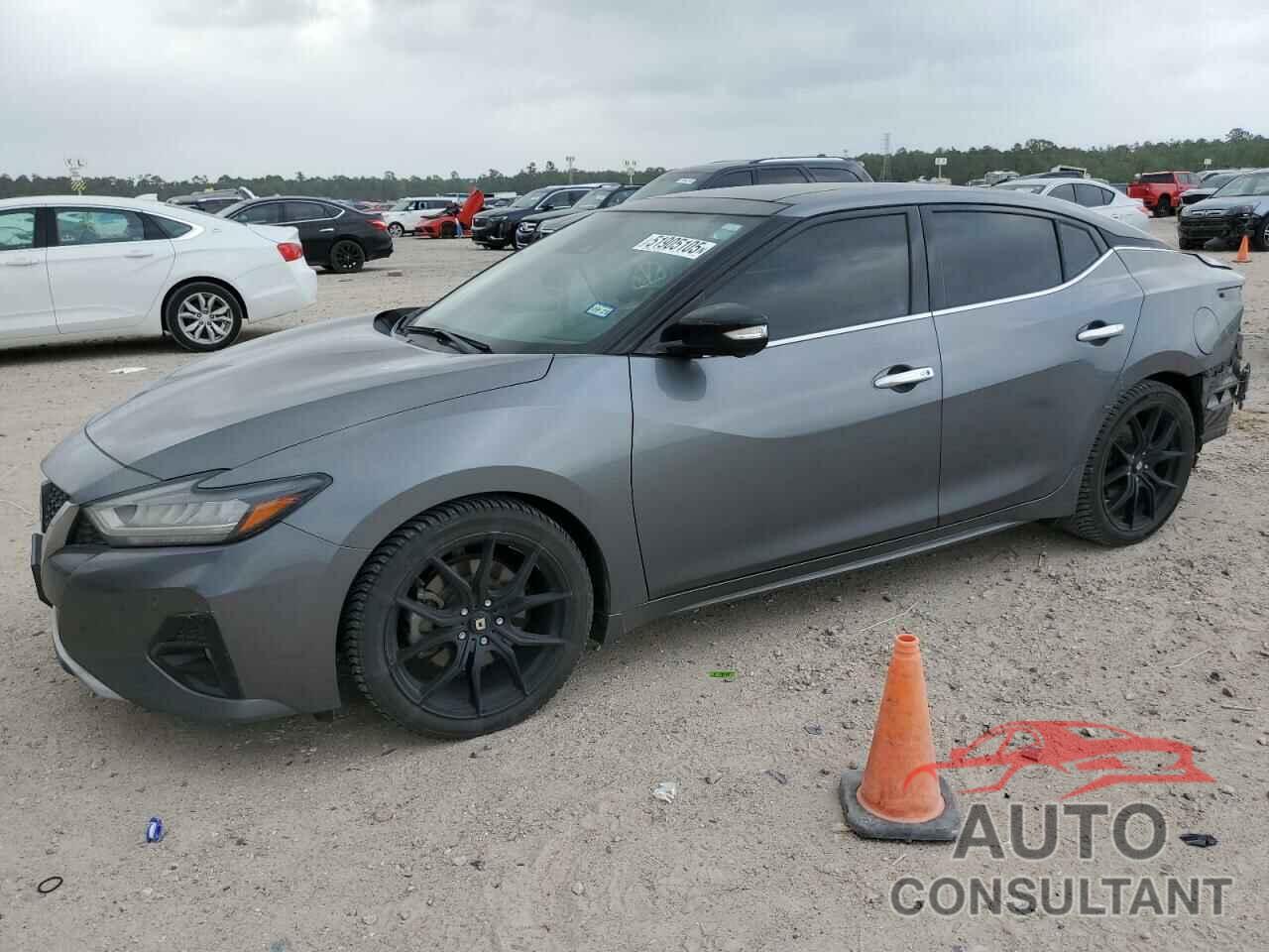 NISSAN MAXIMA 2019 - 1N4AA6AVXKC376310