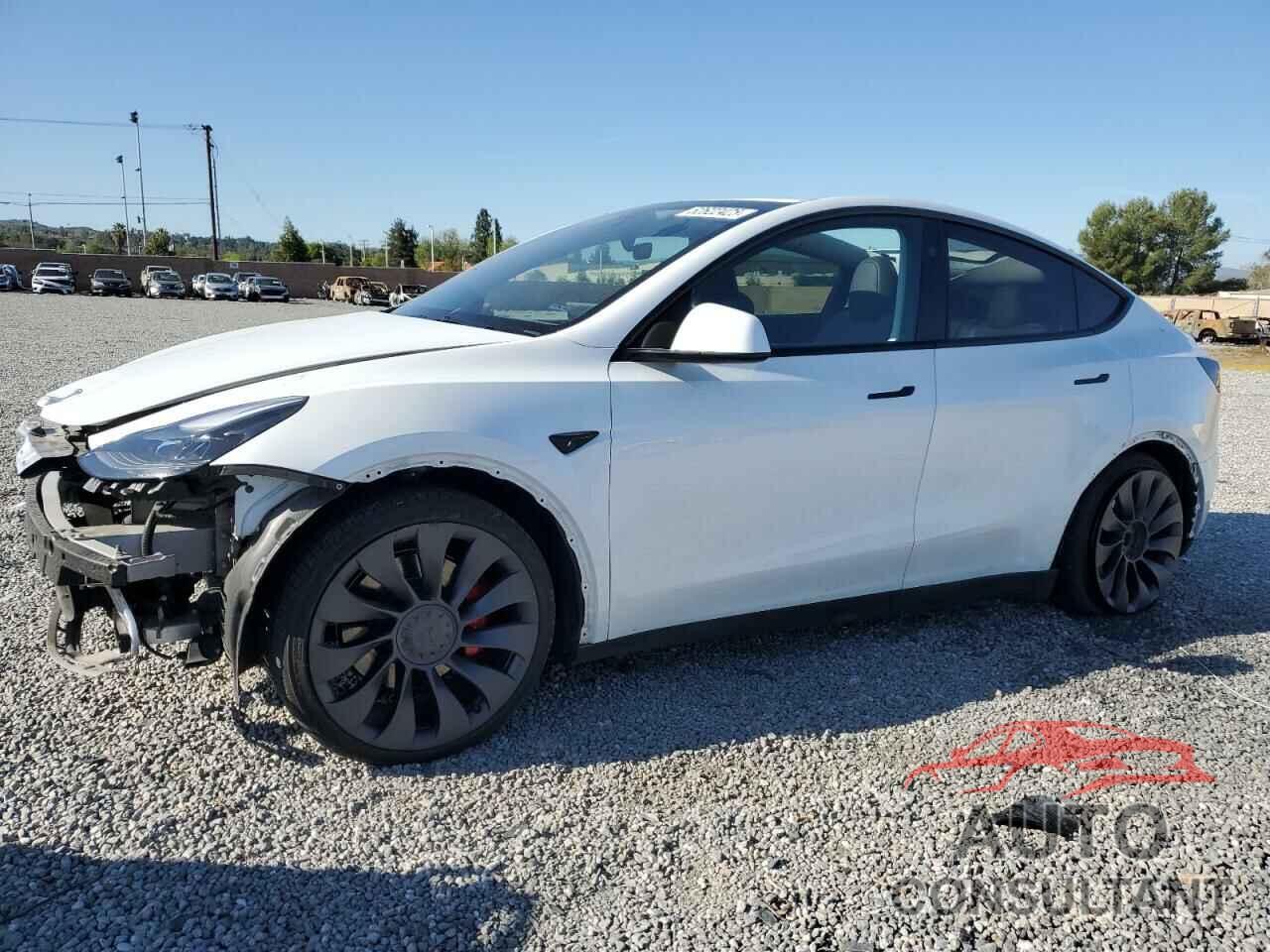 TESLA MODEL Y 2024 - 7SAYGDEF2RF061404