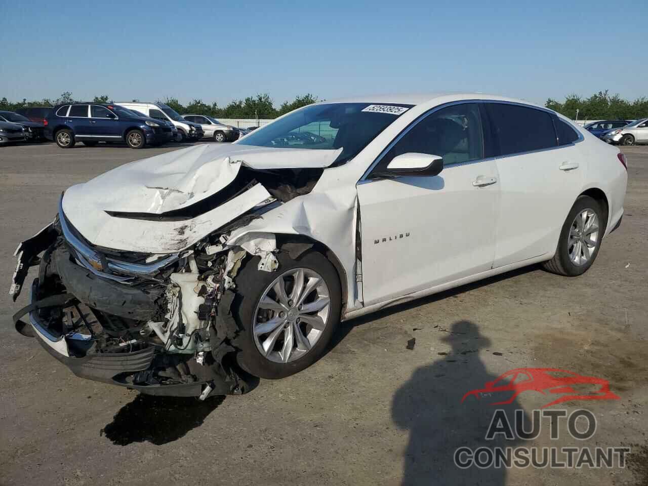CHEVROLET MALIBU 2019 - 1G1ZD5ST7KF184765