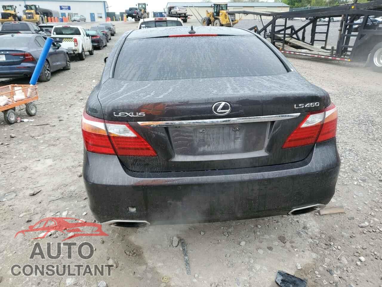 LEXUS LS460 2010 - JTHBL5EFXA5096717