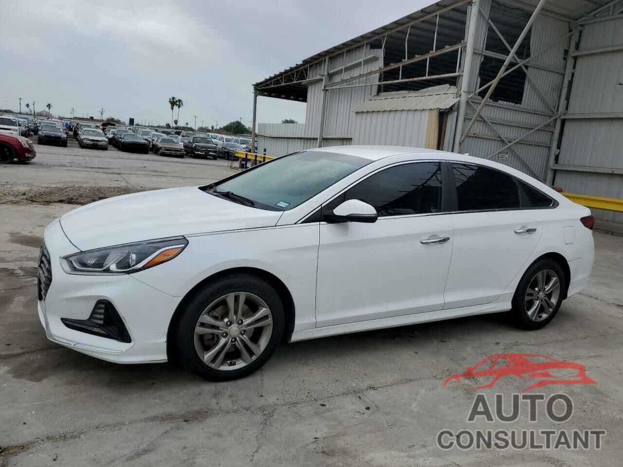 HYUNDAI SONATA 2018 - 5NPE34AF0JH652774