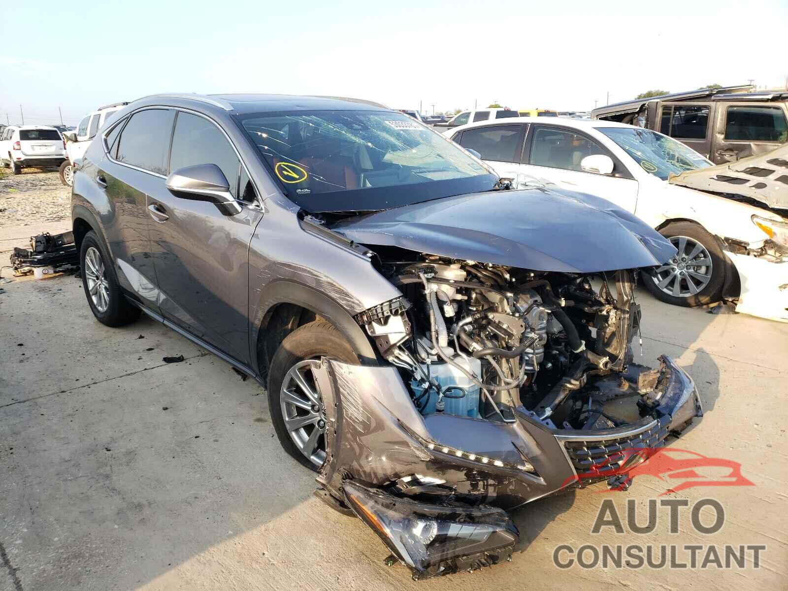 LEXUS NX 2021 - JTJDARBZ1M2191434