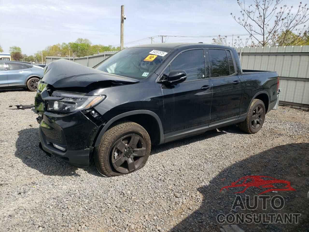 HONDA RIDGELINE 2024 - 5FPYK3F8XRB029250